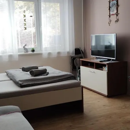 Апартаменты Apartman Nikol
