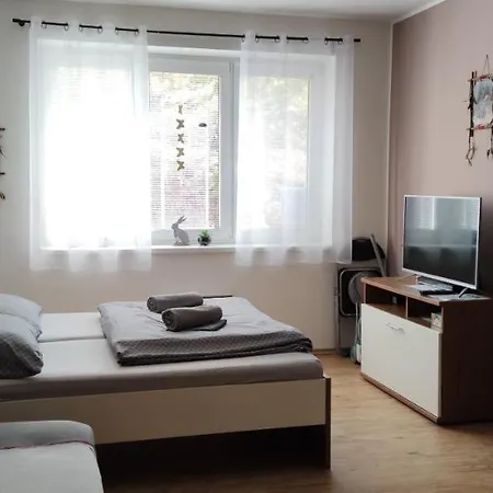 Apartman Nikol דירה ליפנו נאד וויטאבו